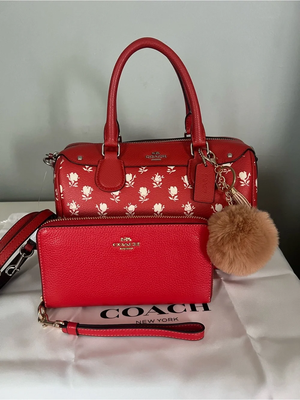 Coach Mini Bennett In Badlands Floral Print With Wallet